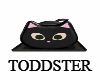 Black Cat Cake