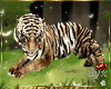 zZ Tiger Animated Furn