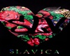 Polish Donatan Slavica