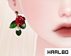 🐻 Earring Rose