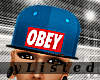 OBEY Fitted V1