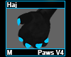 Haj Paws M V4