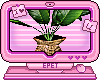 ʚ plant basket ɞ