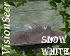 Snow White Glass Coffin