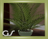 GS Palm Planter