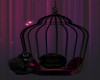 Darkened Londge Cage