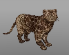 Demoni's Leopard