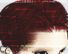 lotta redd