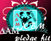 P| DAM pledge fit XBM