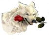 Rose Wolf