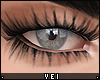 v. Zell: Soft Lashes MN