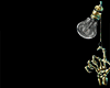 Z*Ankh & Horus Eyes E.V1