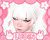 ℒ. Cupcake White