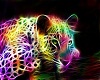 Rainbow panther pic 