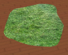Grass patch