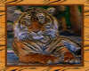 LT Proud Tiger Painting