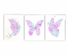 EM Butterfly Frames