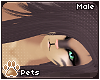 [Pets] Toxi | hair v1