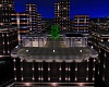 CITY NIGHT LIFE