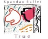 ~em~ Spandau Ballet True