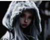 Z. Assasin 24