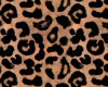 Leopard print wall
