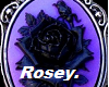 Purple Rose Cameo Bundle