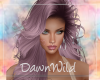 Dynasty Lilac