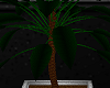 [AG] Trowa Plant