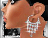 (NS) Chic Dimond Earring