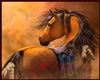 Native American Horse