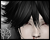 5C DUST BLACK