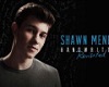 Shawn Mendes - This Is w