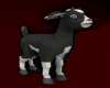 Lv- Goat Baby