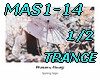 MAS1-14-Spring-P1