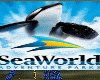 Seaworld fun park