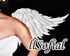 S"Wings Angel 🎃