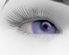 !!! eyes 7