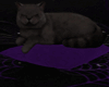 Spooky Bones Cat Pillow