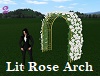Lit Rose Arch 2