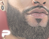 S.002 Beard [ASTERI]