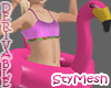 Flamingo Float