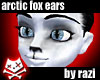 Arctic Fox Winter Ears