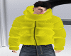 T// Yellow Puffer
