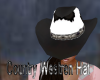 Country Westren Hat