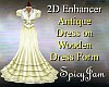2D Antq Dress on Form 2