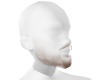 MINE