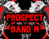 LMMC Prospect Band M