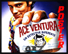 [OB] Ace Ventura poster