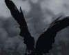 Black Trigger  Wings